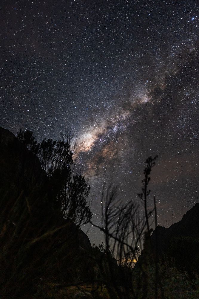 Photograph by Ezequiel Odone
