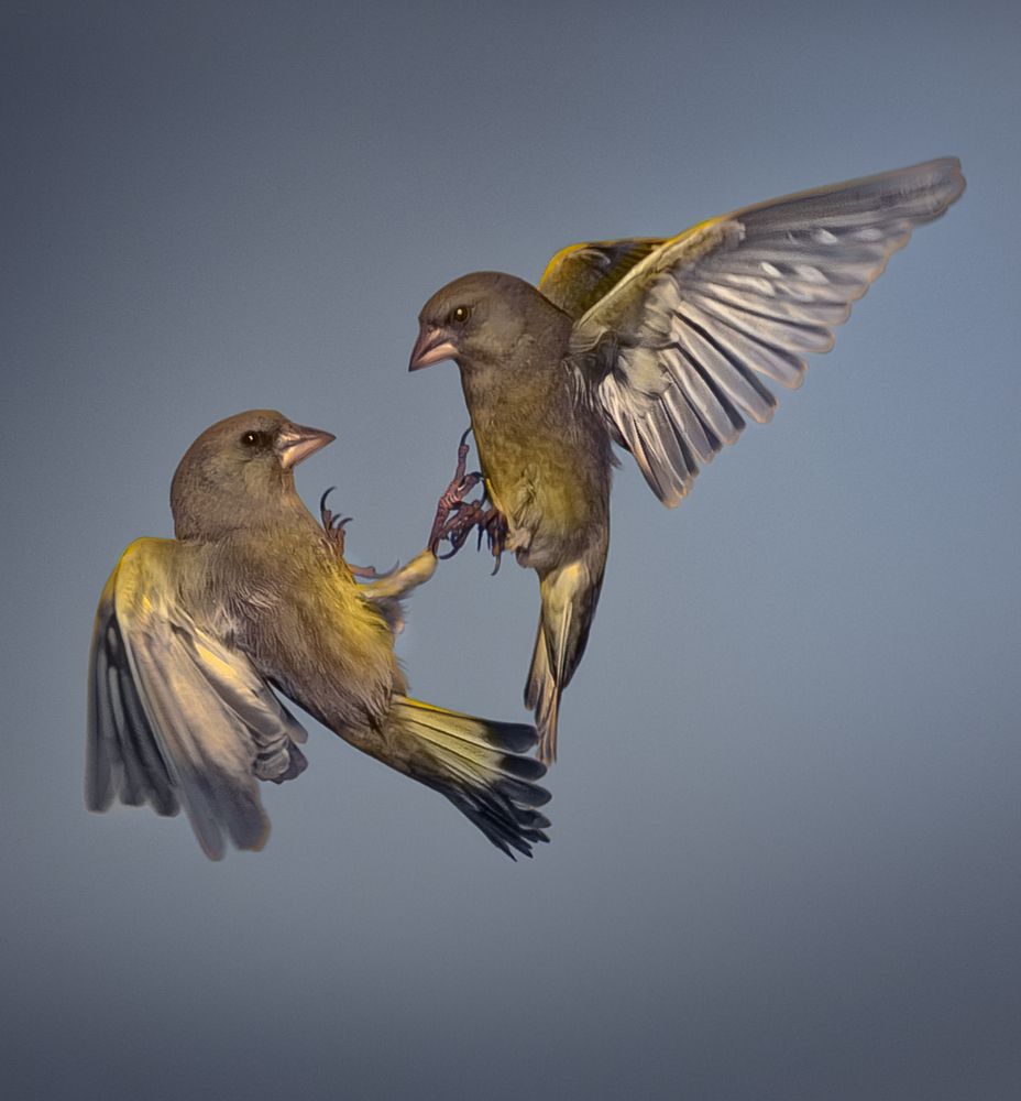 Photograph by Andreas Lundmark