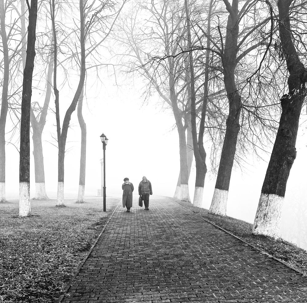 Photograph by Алена Шаляпина