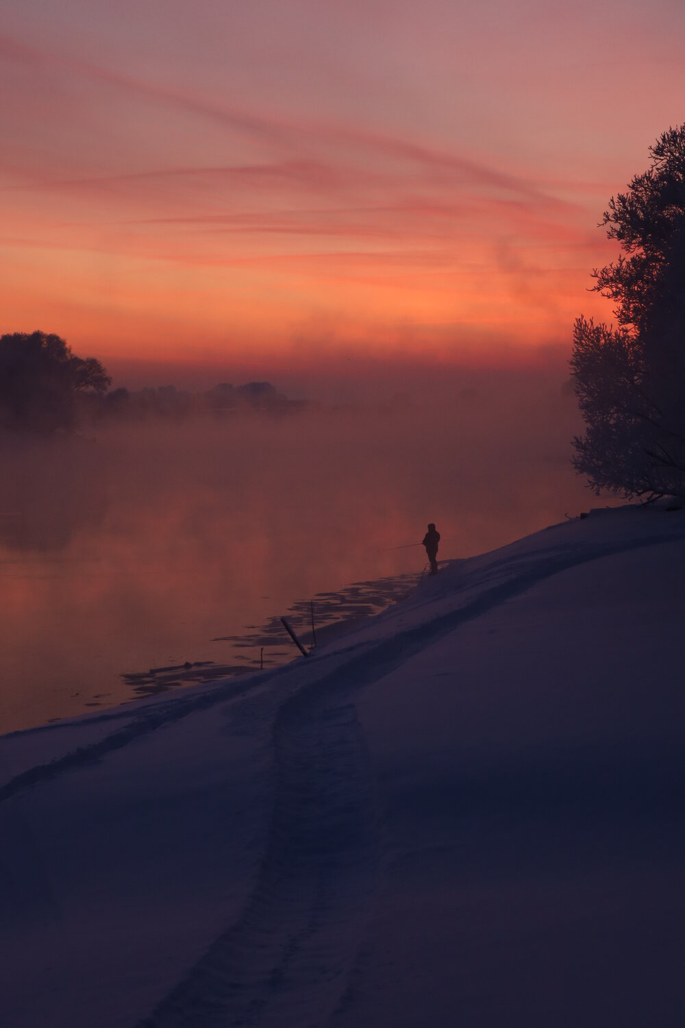 Photo #13342114