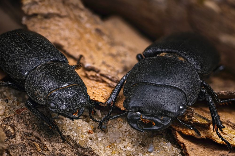 Photograph by Анастасия Подгрушная