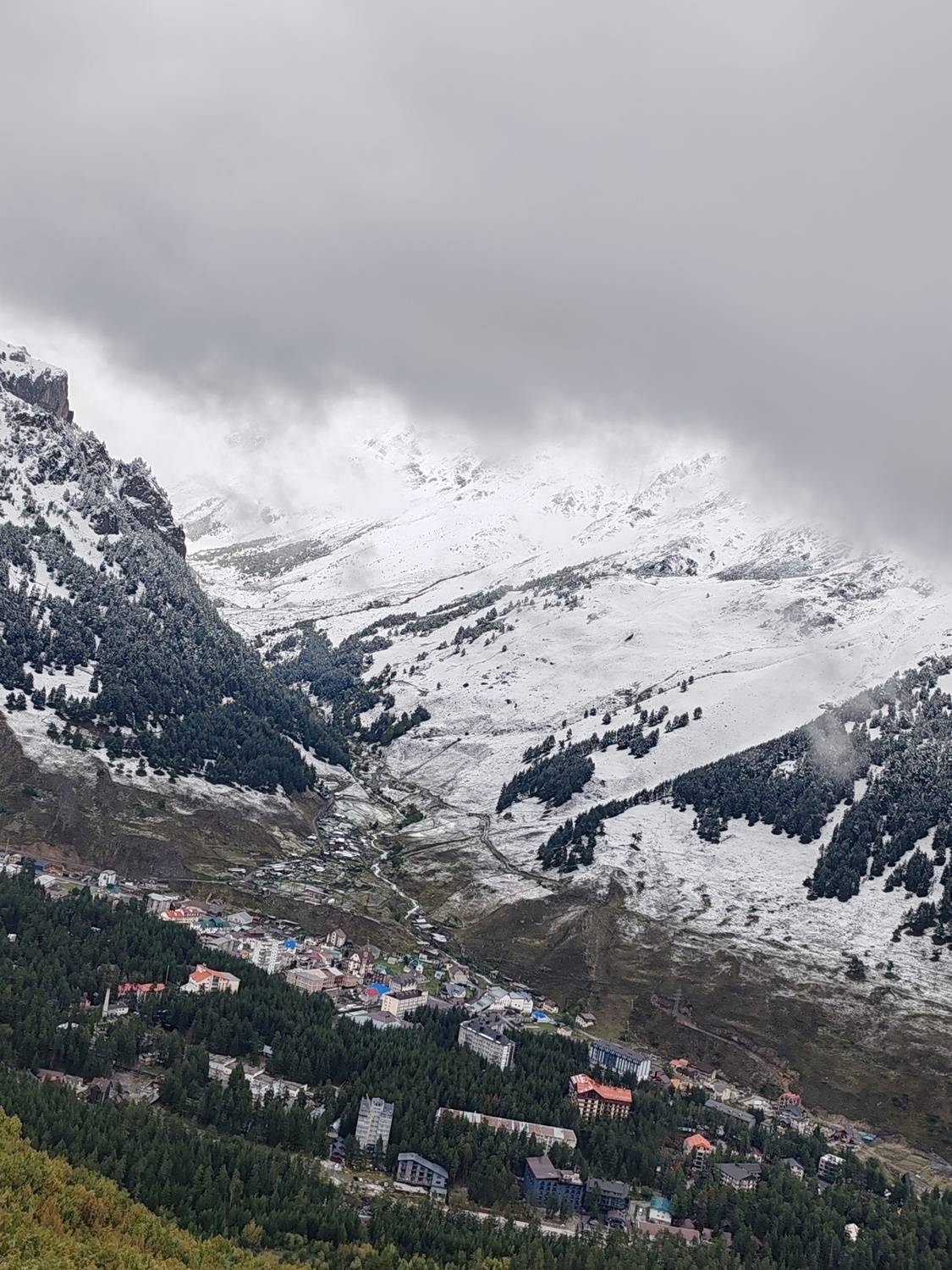Photo #13342189