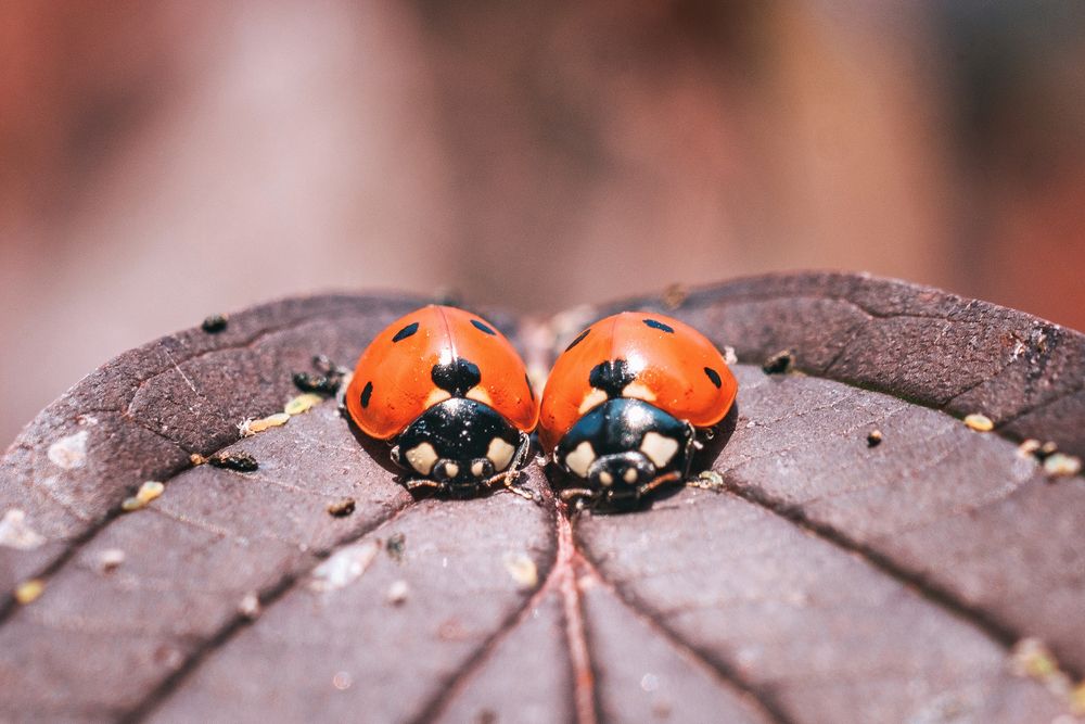 Photograph by Андрей Барышников