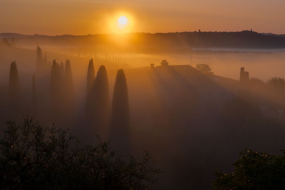 Туманный рассвет