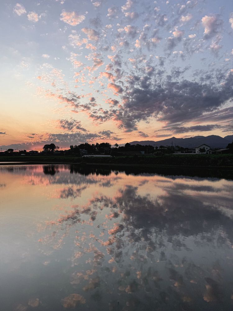 Photograph by Iwamoto Reina