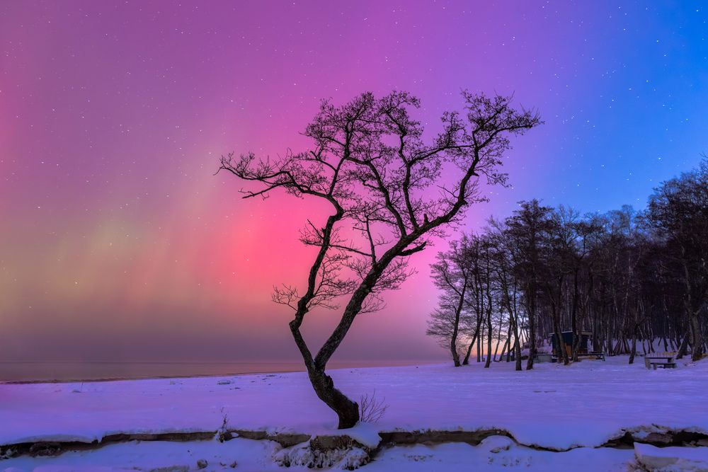 Photograph by Дмитрий Грошиков