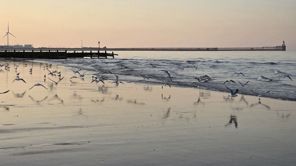 Photograph by Ekaterina Kazarez