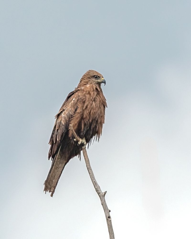 Photograph by Николай Николаенко