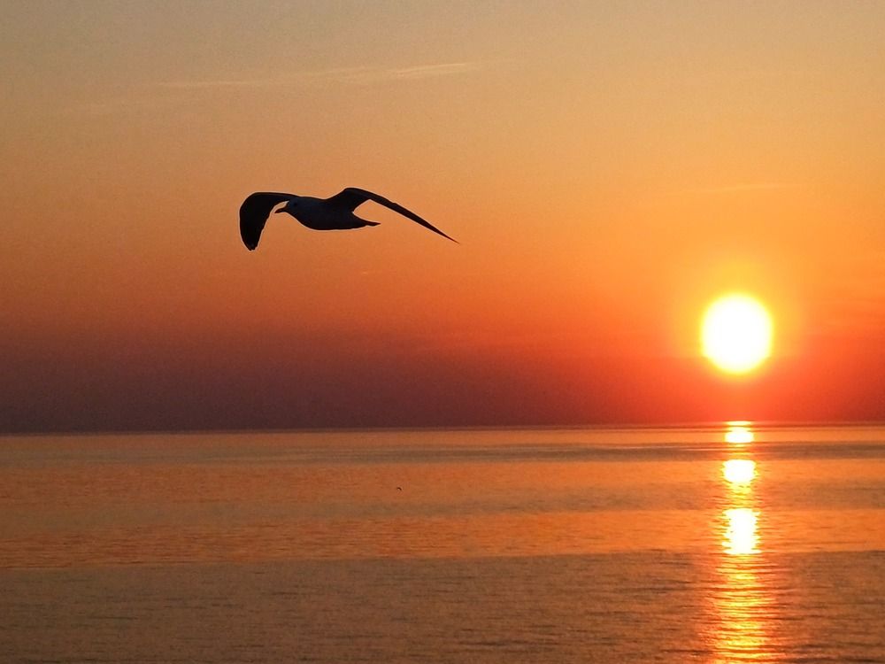 Photograph by Валентина