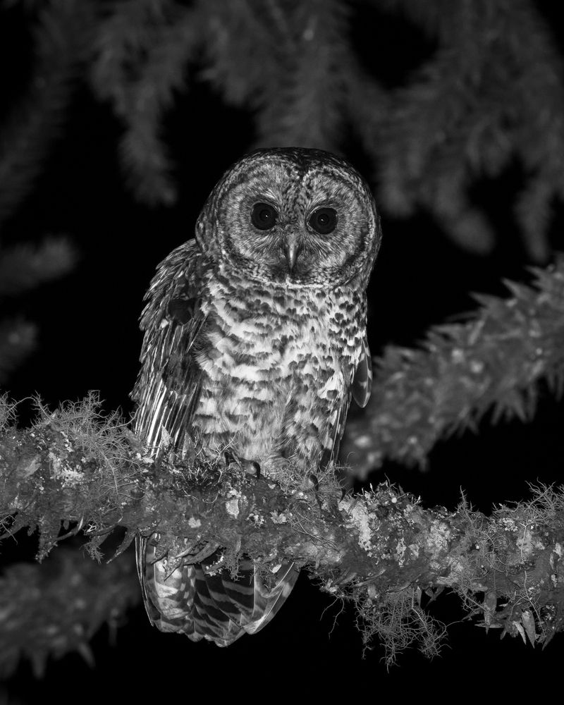 Photograph by Valdir Hobus