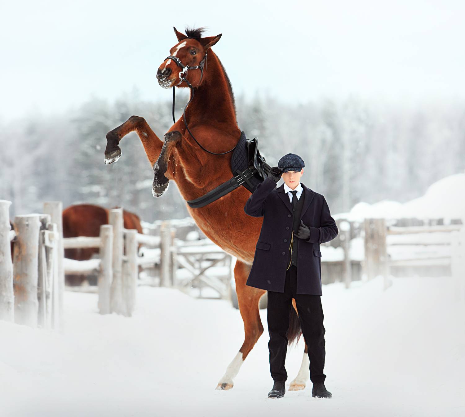 Фотография #13342622