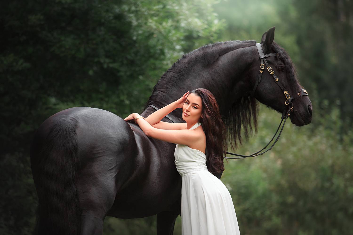 Фотография #13342642