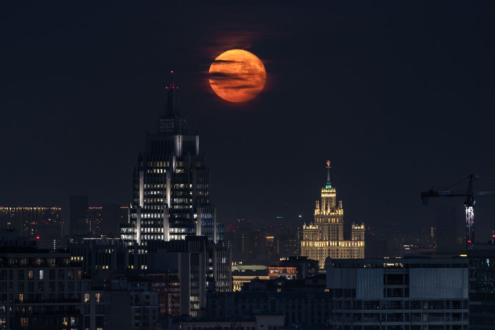 Фотография автора Артамонов Александр