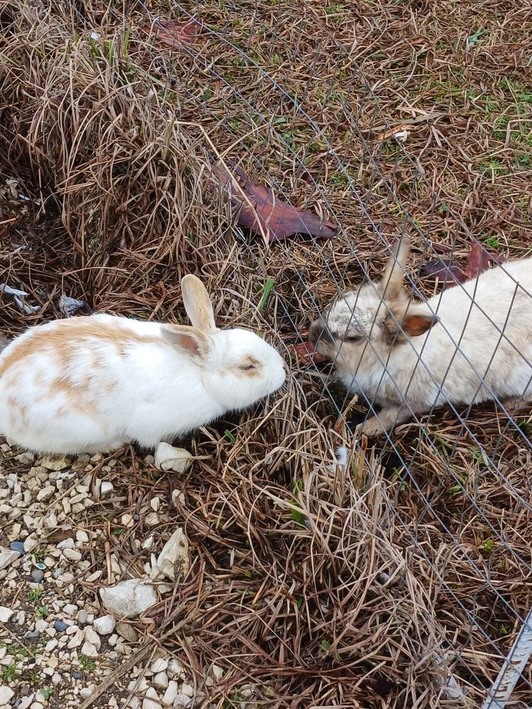 Photograph by Елена Кузнецова