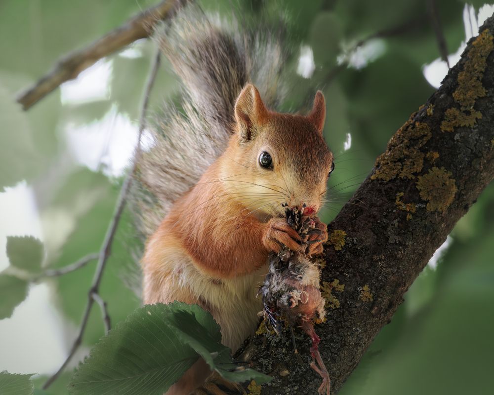 Photograph by Полина Шальнева