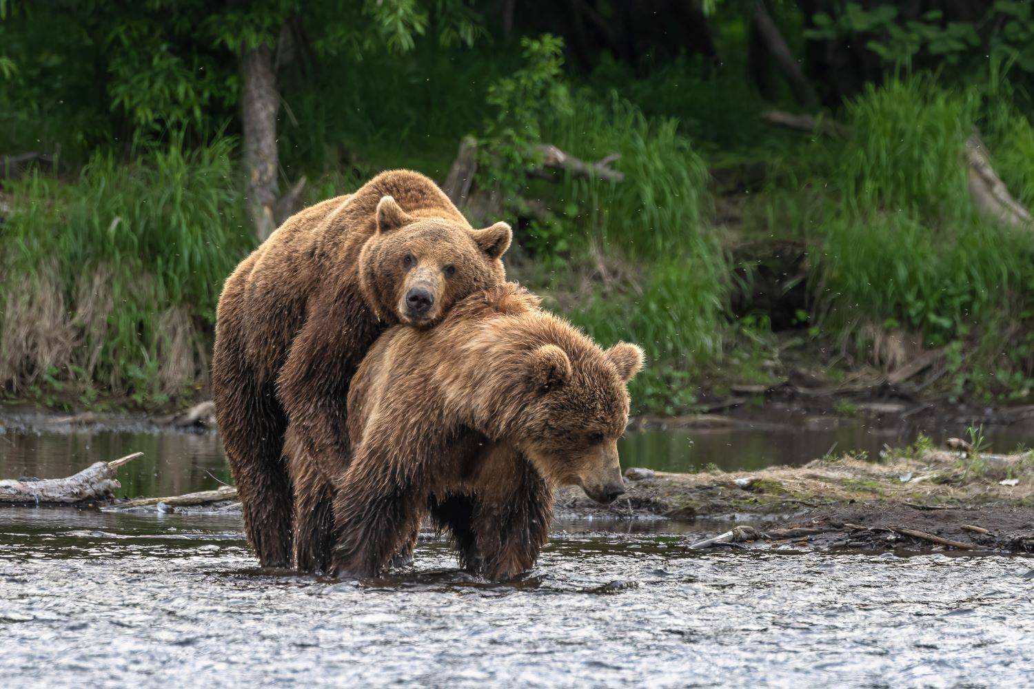 Размышления о любви.