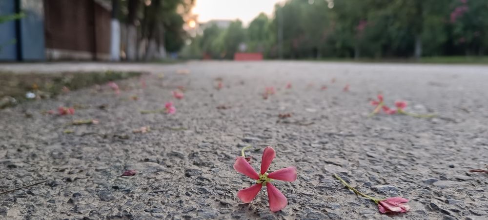Photograph by Younas Muhammad