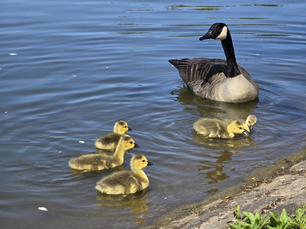 Photograph by Ekaterina Kazarez