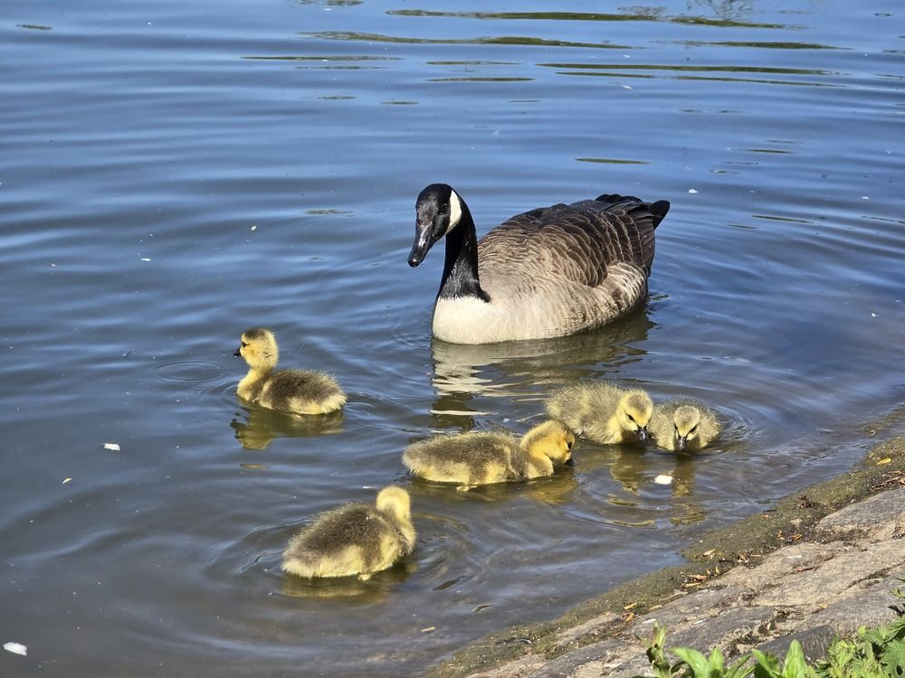 Photograph by Ekaterina Kazarez