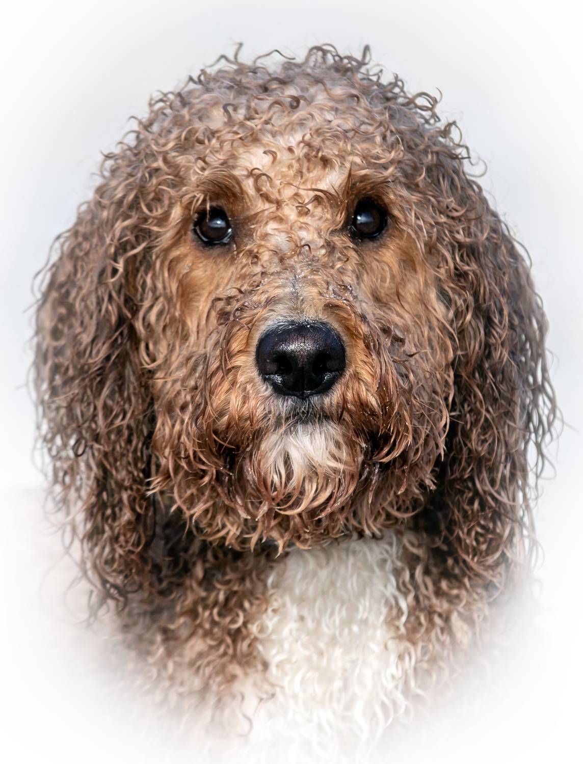 Банный день