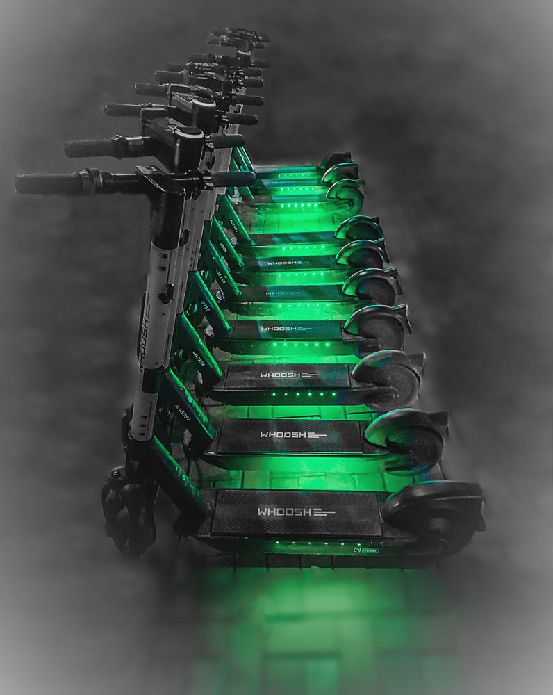 Зеленая команда / Green Team