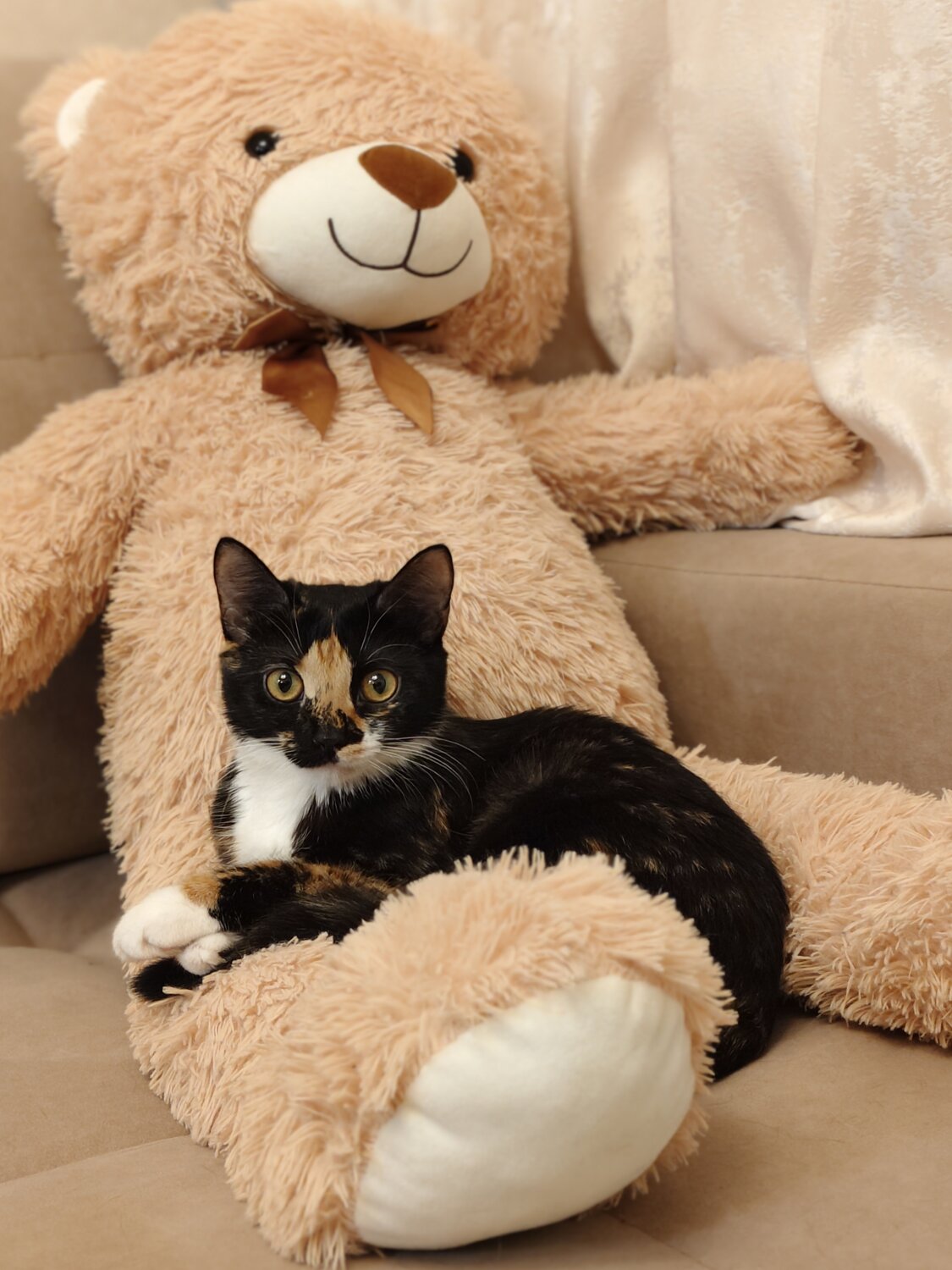 Photo #13342945