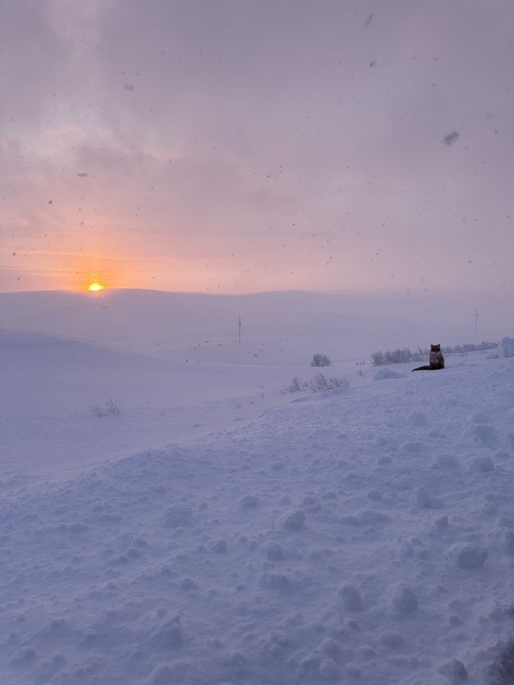 Случайная встреча