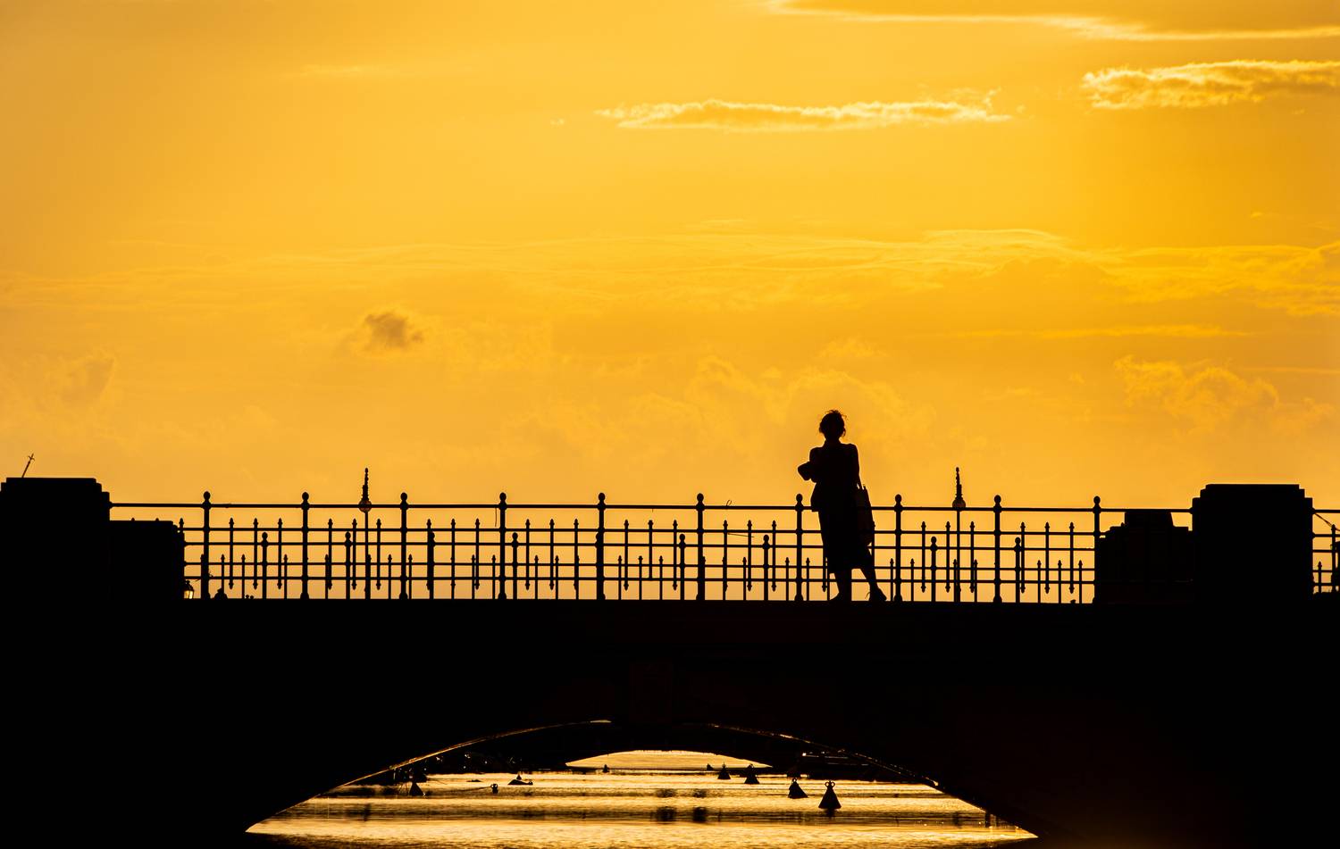 Lady on the bridge