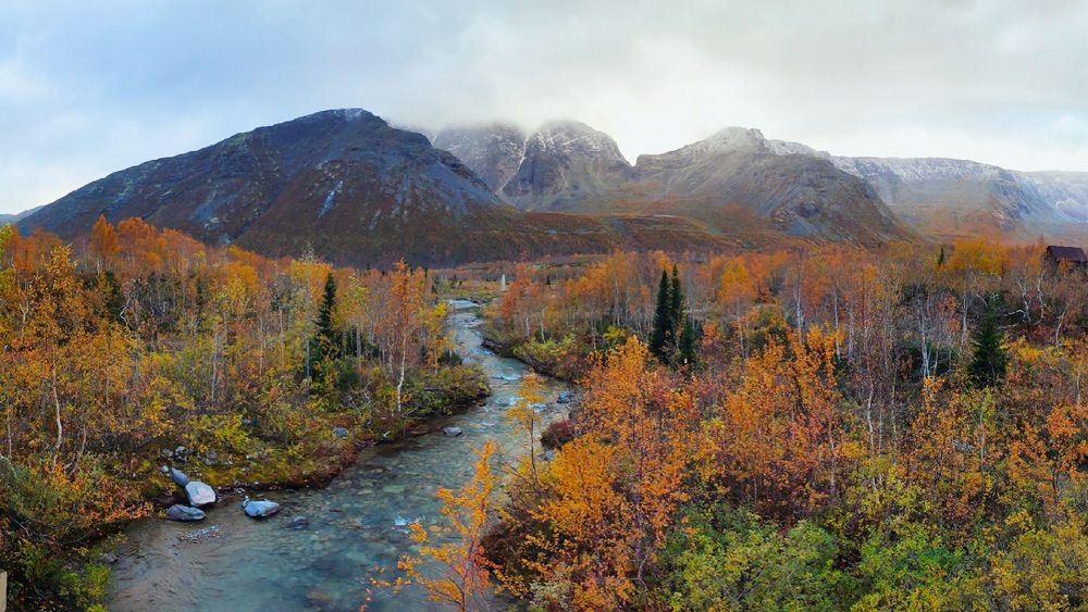 Фотография автора Olga Akhmetova