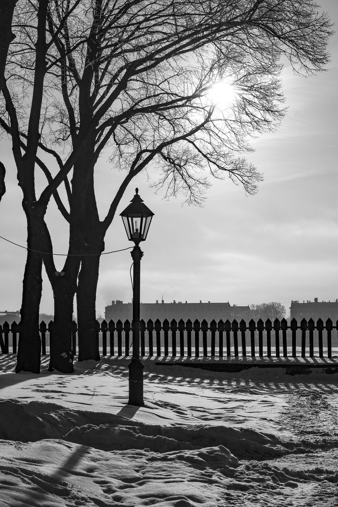 Photograph by Rut Andrey