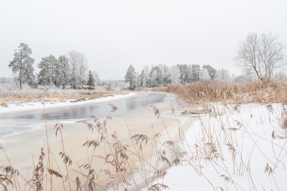 Река Улейма одним чудесным зимний деньком