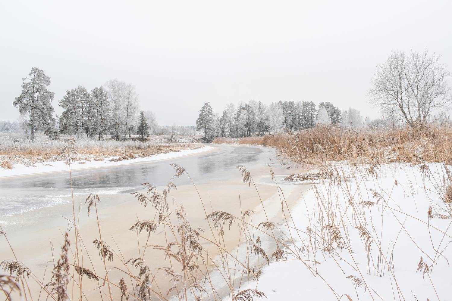 Река Улейма одним чудесным зимний деньком