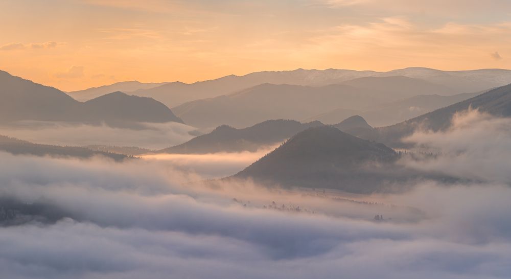 Photograph by Mark Devender