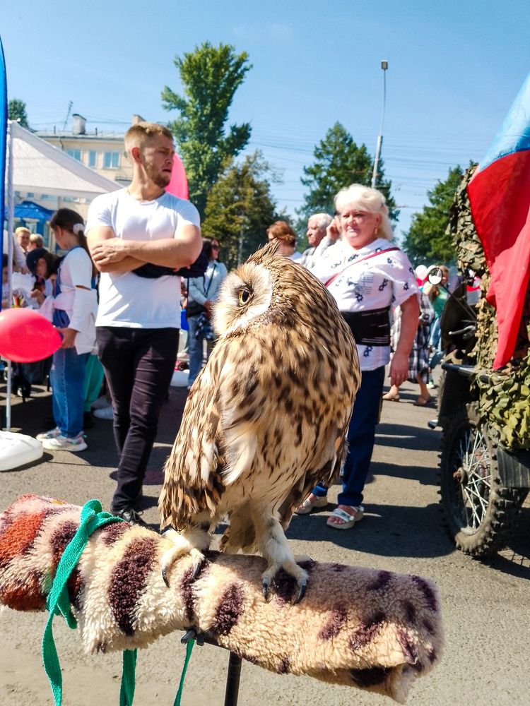 Photo #13343119