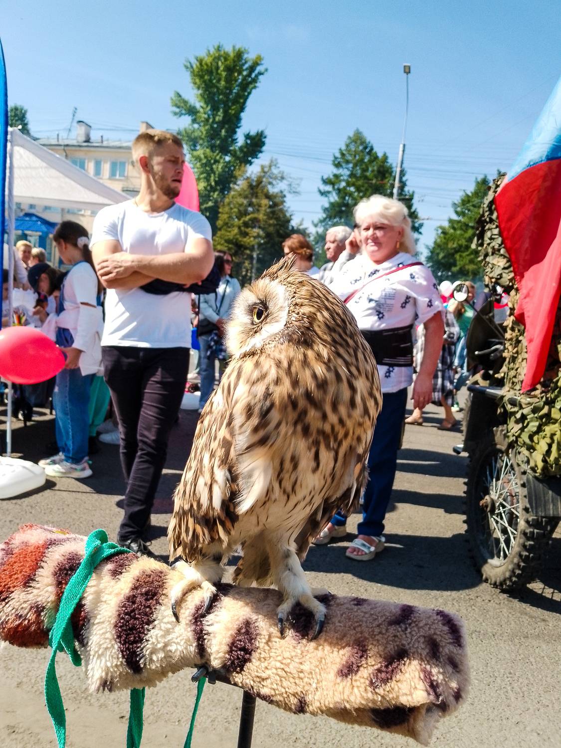 Photo #13343119