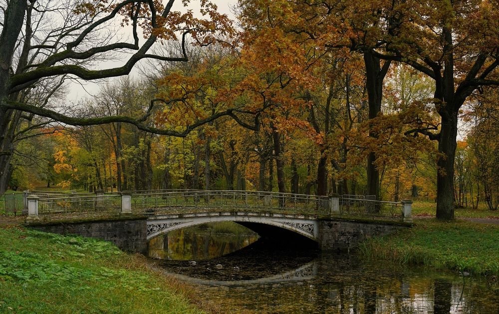 Autumn morning