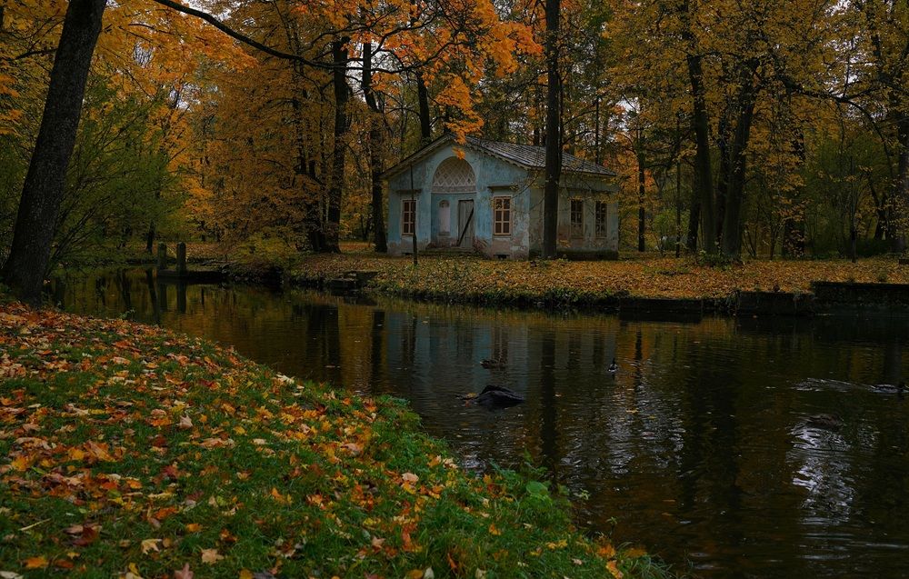Autumn morning