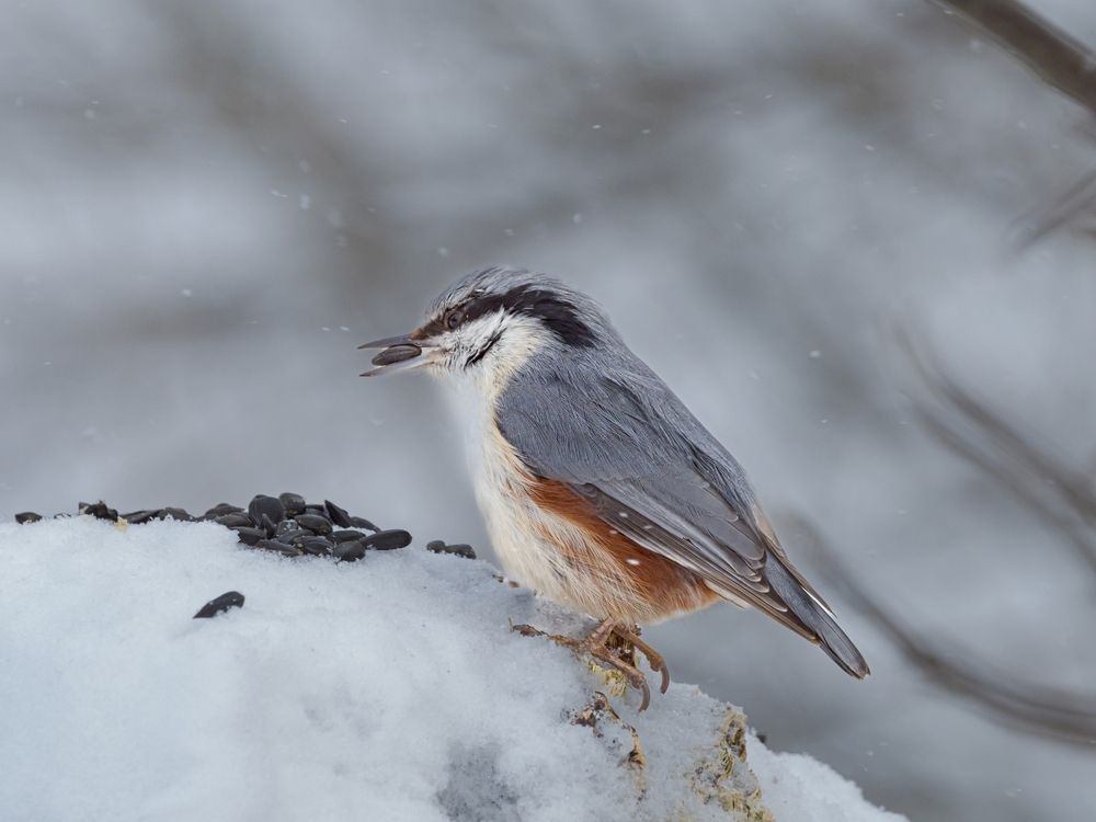 Photograph by Сергей Белокуров