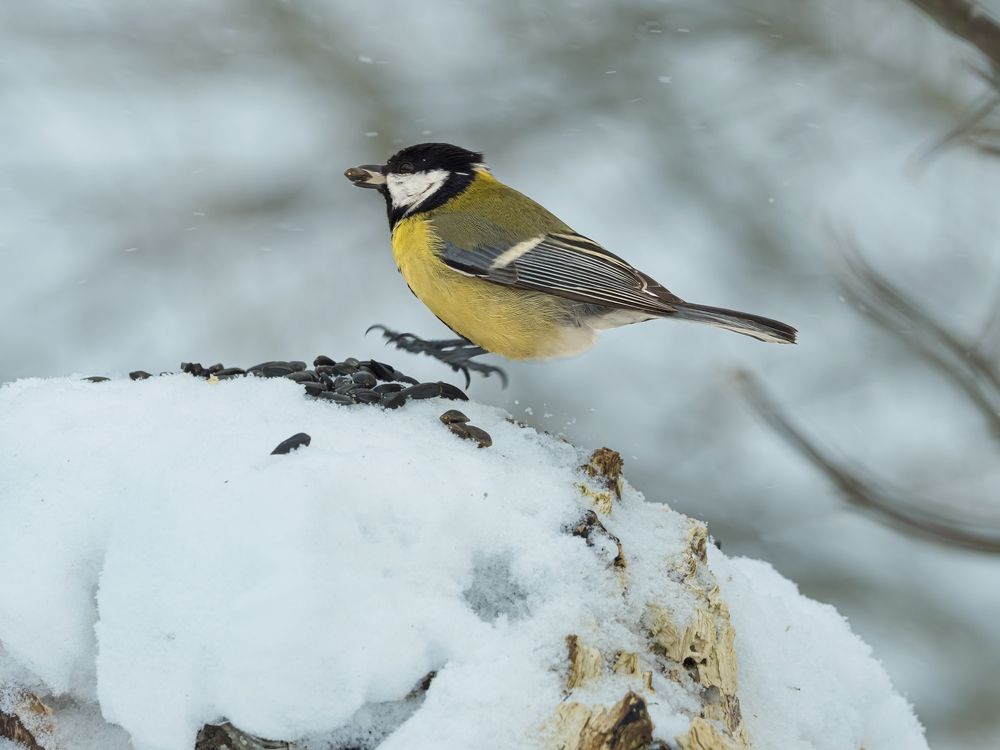 Photograph by Сергей Белокуров