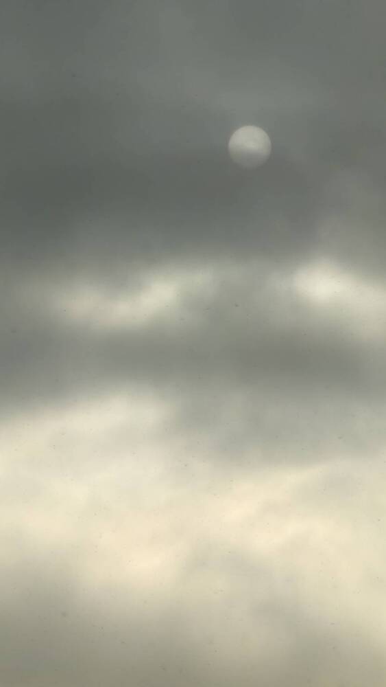 Photograph by Анастасия Занадворова
