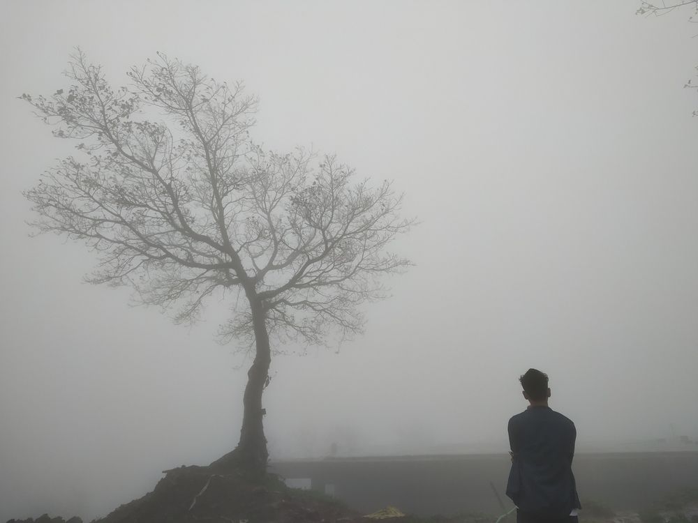Photograph by HARSHIL uPADHYAY