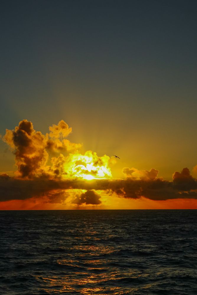 Photo #13343361