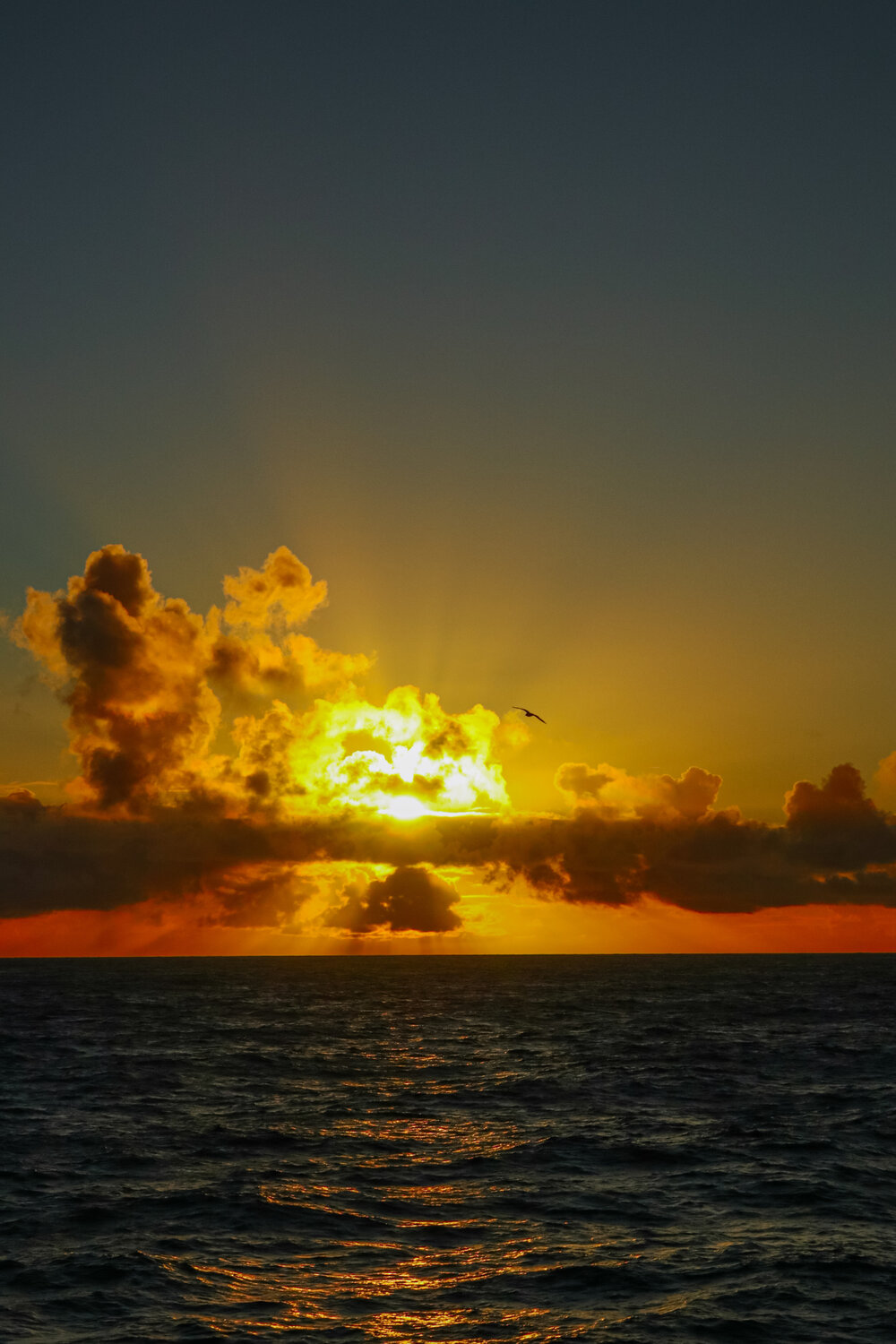 Photo #13343361