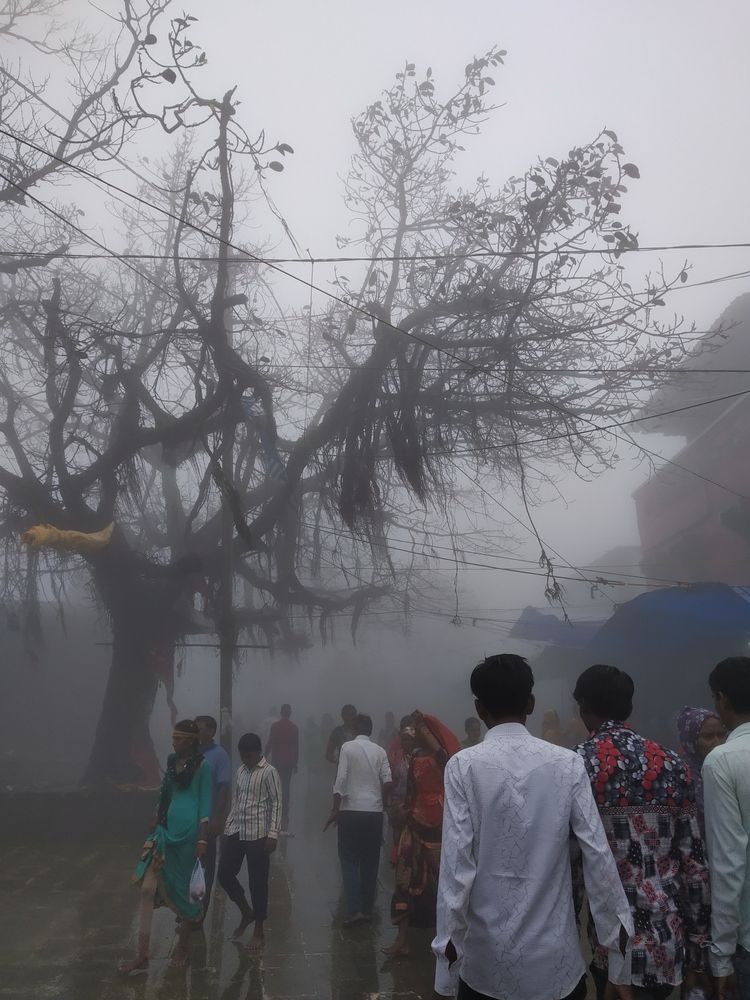 Photograph by HARSHIL uPADHYAY