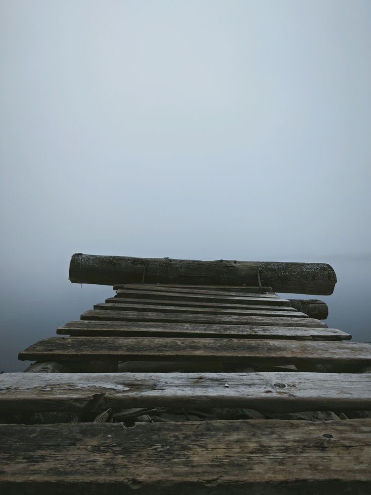 Photograph by Елена