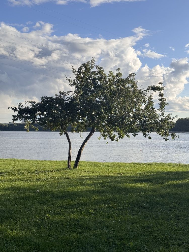 Photograph by Вера Короткова