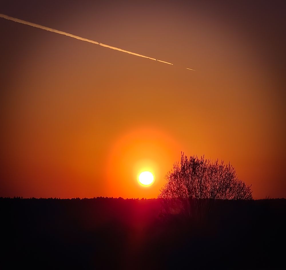 Photograph by Татьяна Александровна Терехова