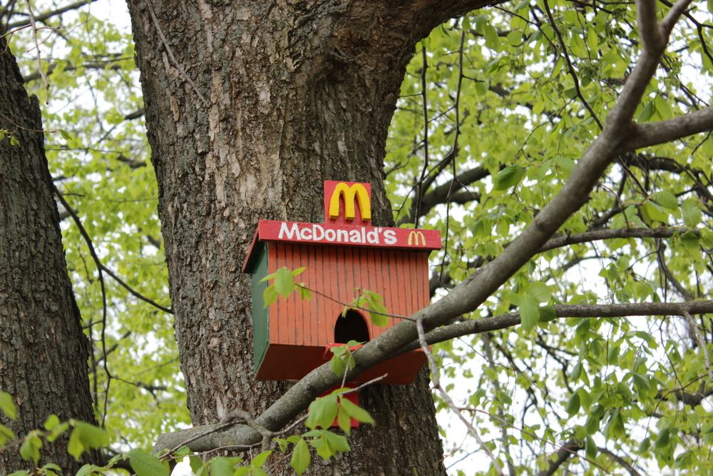 Photograph by Сергей Гончаров