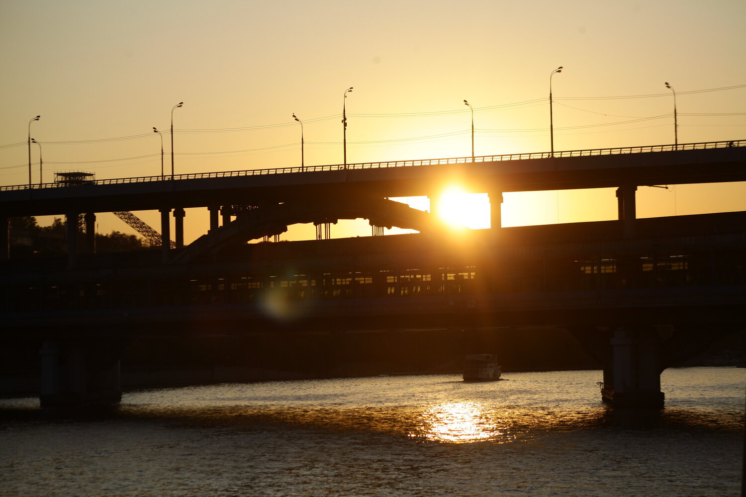 Photo #13343539
