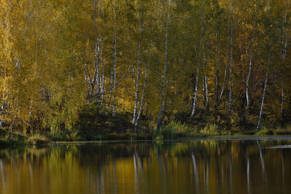 Photograph by Василий Арлашов